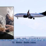 Pasajeros viven momentos de pánico tras falla en avión de Aeroméxico